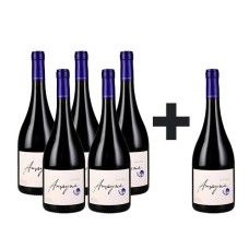 Caja de 6 Amayna Pinot Noir 5*6 (PAGUE 5, LLEVE 6)