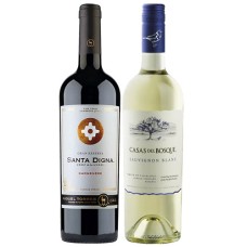 Pack 6 Casas del Bosque Sauvignon Blanc + 6 Miguel Torres Gran Reserva Santa Digna Carmenere ( $4.990 c/u) 