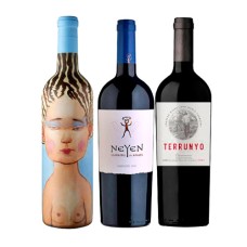 Pack 1 botella Piu Belle Blend, VIK + 1 Neyen, Veramonte + 1 Terrunyo Carmenere