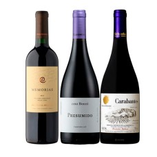 Pack 1 botella Memorias , El Principal + 1 Presumido Carmenere,Bauza+ 1 Carabantes Syrah