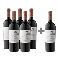 Caja 6 botellas Undurraga TH Cabernet Sauvignon 5*6 (PAGUE 5, LLEVE 6)